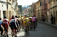 Mallorca-Rundfahrt 2005
Algaida